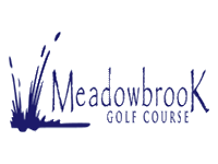 tfss-40e23955-fdf8-4b26-810b-593e4d8a84c8-IN_Meadowbrook_Anderson.png